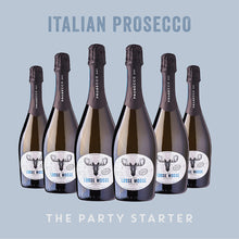 Load image into Gallery viewer, Italian Prosecco DOC x 6 bottles
